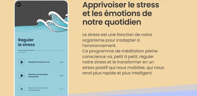 gestion des émotions